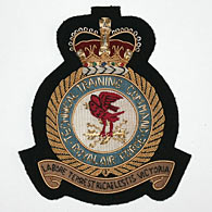 RAF Technical Training Command wire blazer badge